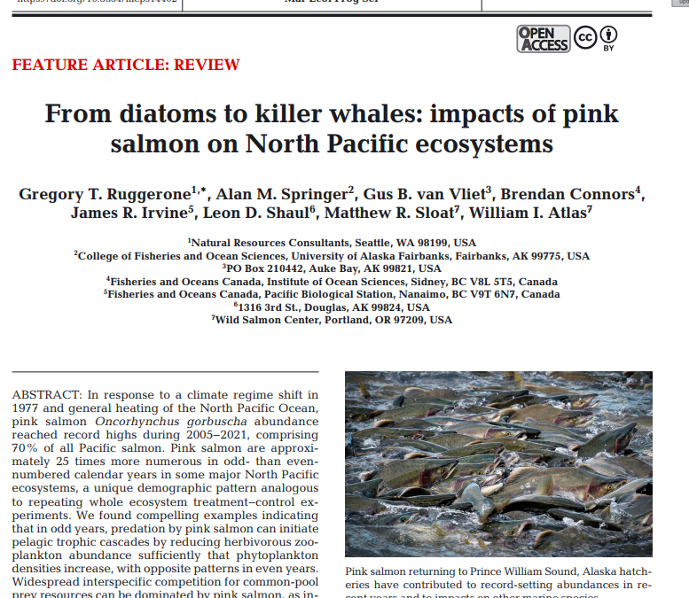 NRC Partner Greg Ruggerone publishes work on ocean-scale effects of pink salmon abundance
