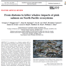 NRC Partner Greg Ruggerone publishes work on ocean-scale effects of pink salmon abundance