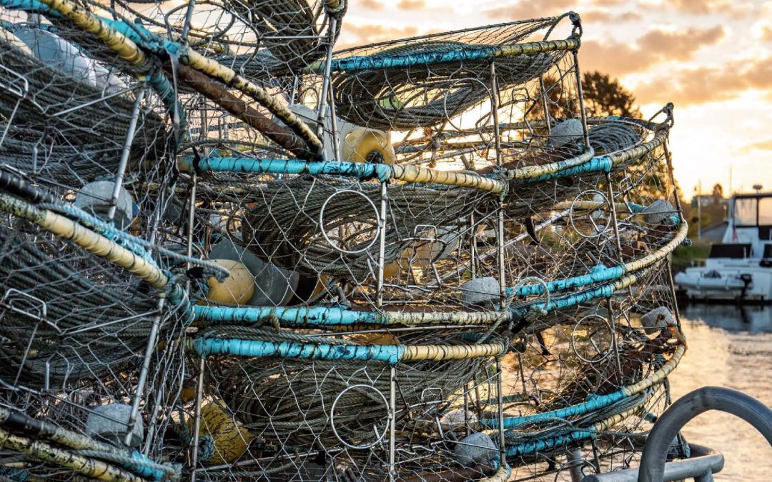 2024 Puget Sound Lost Shellfish Pot Prevention Plan